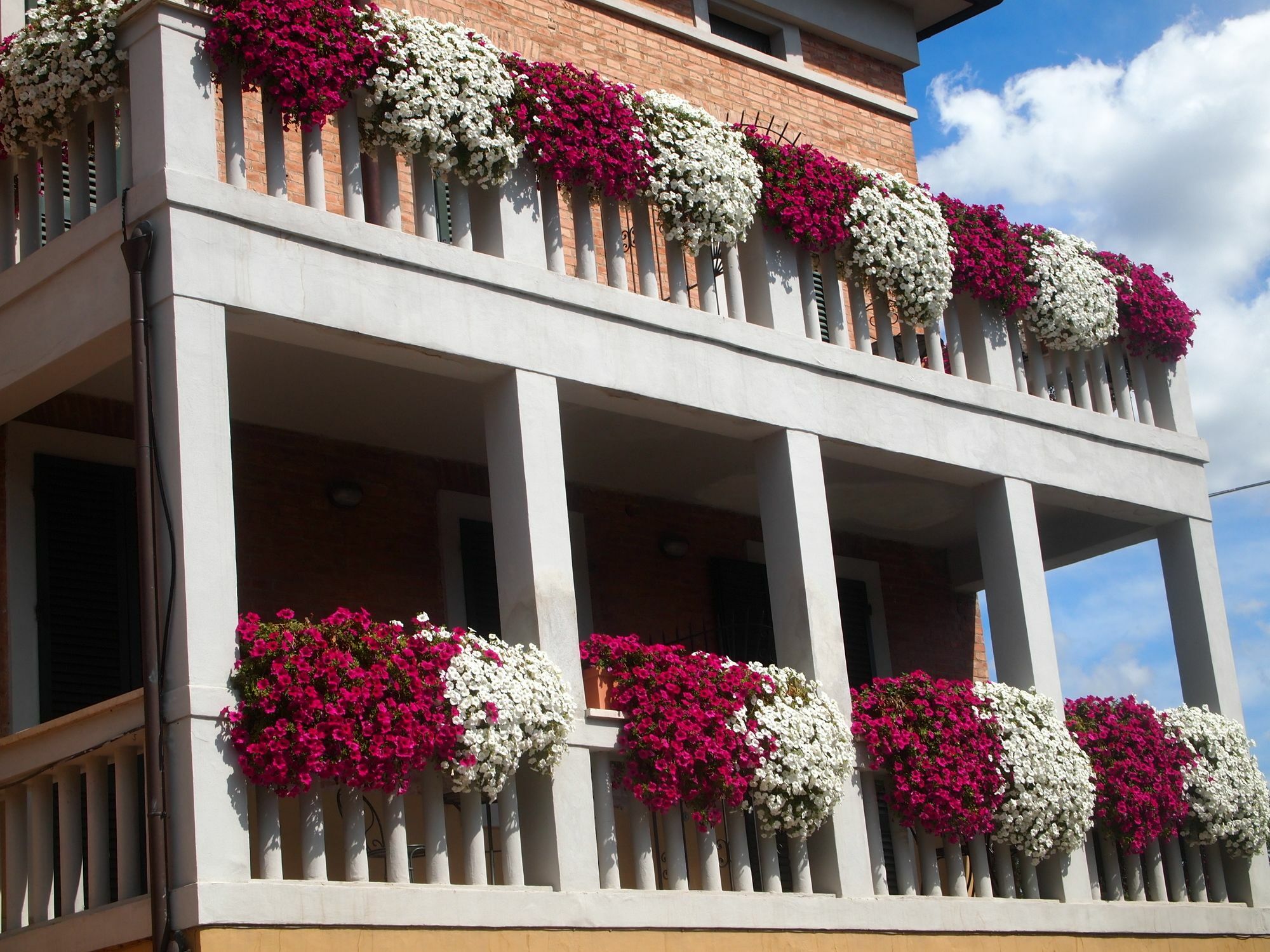 Bed & Breakfast Lo Stellino Siena